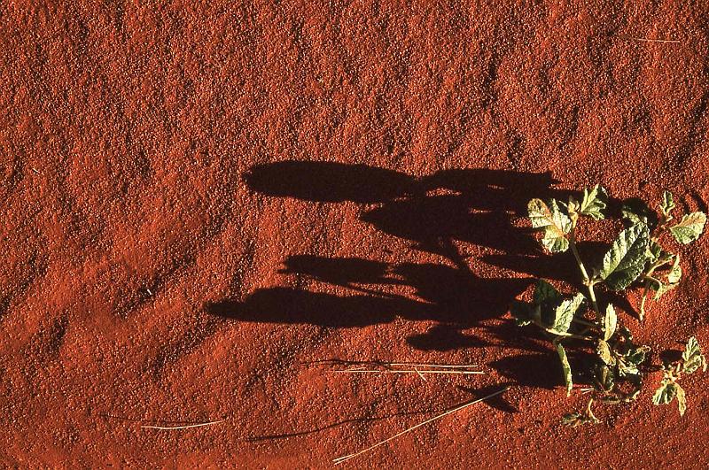 WT 0400 094-17 Australia.jpg